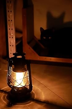 YAKKYO LANTERN ヤッキョウランタン Amazon.com: YAKii LED Vintage Lantern Metal Hanging
